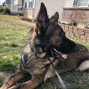 Meet your Posher, Kalista